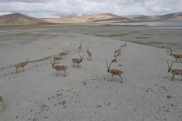 成都出发川西旅游包车多少钱？有哪些景点推荐呢？